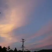yoriri　プロフィールご確認下さいの画像