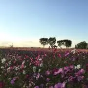 ♡Riii♡の画像