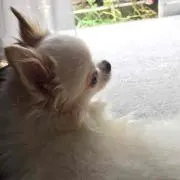 NTH