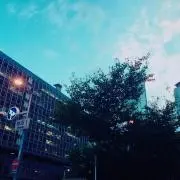 こん