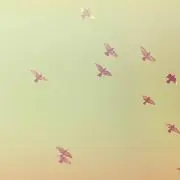 rosaの画像
