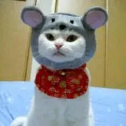花梨