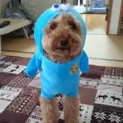 ユーコ