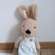 ぽんたの画像
