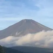 お家大好きの画像
