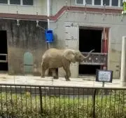 ランダーの画像