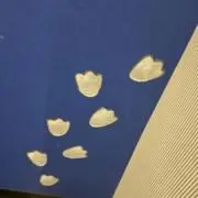 なの画像