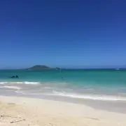 yukokkoの画像