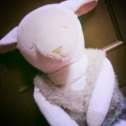 ぺこりんこ♪