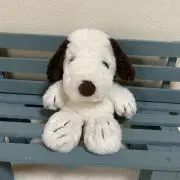 まぁの画像