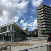 アリシア
