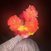 おはなの画像