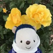 くまたろうの画像