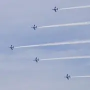 めりんの画像
