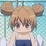 たいがの画像