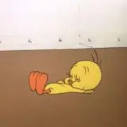 にんじんの画像