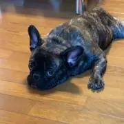 (^^)