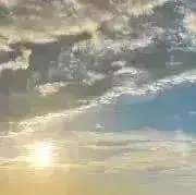 ぬかづけ