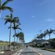 あめ【プロフをお読み下さい(•ᴗ•)】の画像