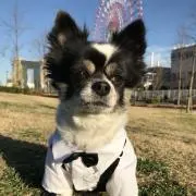 kotajiiの画像