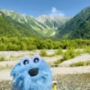 てりーの画像