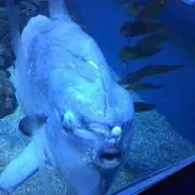 のりっち