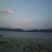 しんの画像