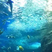 unyboonの画像