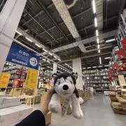 よるあの画像