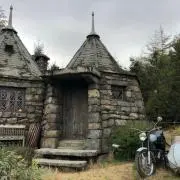 アンディ☆の画像