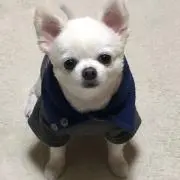 さららの画像