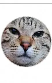 taraの画像