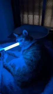 15万を取り返す為に頑張るの画像
