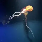 なで肩の画像