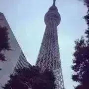 もぎちゃん まとめ買い歓迎の画像