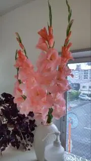 めるの画像