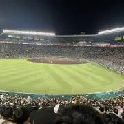 たかの画像