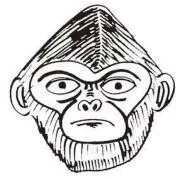 Image of どーぞー