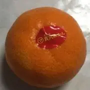 パラパラ@プロフ読んでください