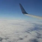 ラムタラの画像