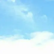 和紙の画像