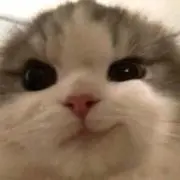 ぽの画像