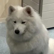 かんた