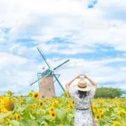 ⭐️まりも⭐️値下げ交渉✨歓迎✨の画像