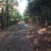 Kの画像