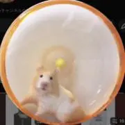 公茶【⬇️値引き中｜6/5(金)発送】の画像