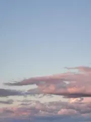 おしゃかな