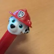 わんの画像
