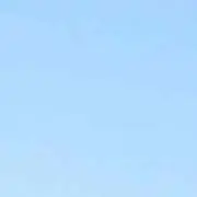 さくらん