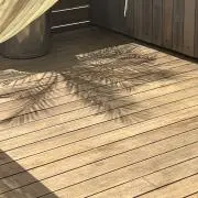 帆夏の画像